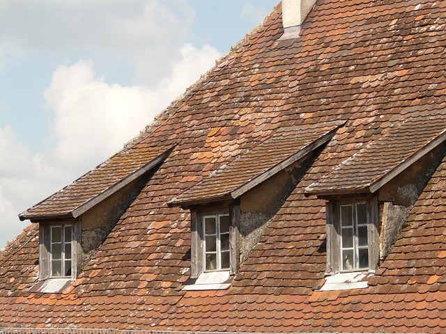 roofing, steel roofing, roof, house roof