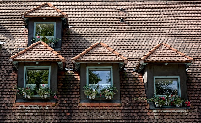 roofing, steel roofing, roof, house roof