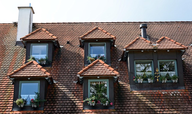 roofing, steel roofing, roof, house roof