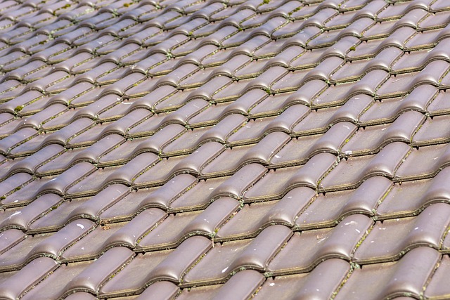 roofing, steel roofing, roof, house roof