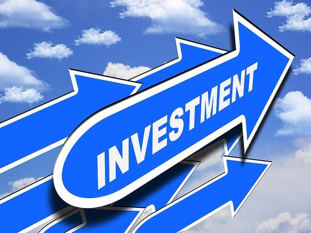 shares investment
