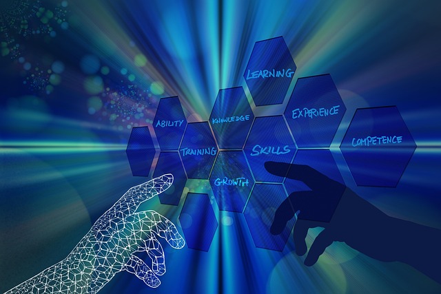 skill development institutes