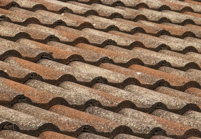 Steeline colorbond roofing