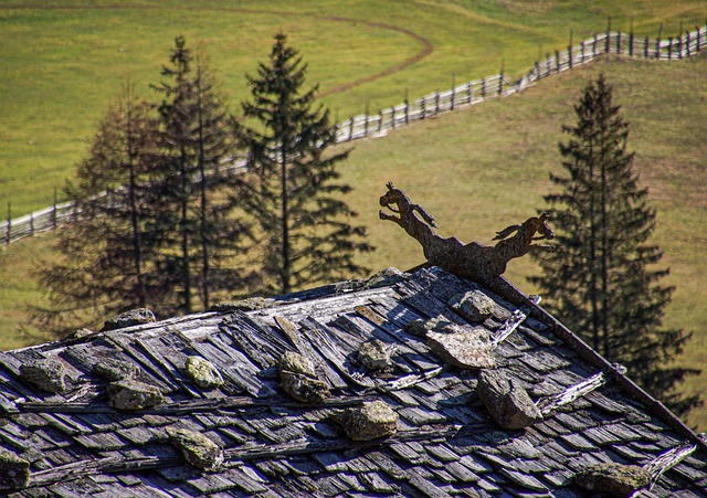 Steeline colorbond roofing