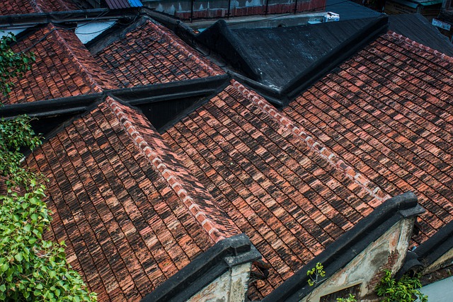 Steeline colorbond roofing