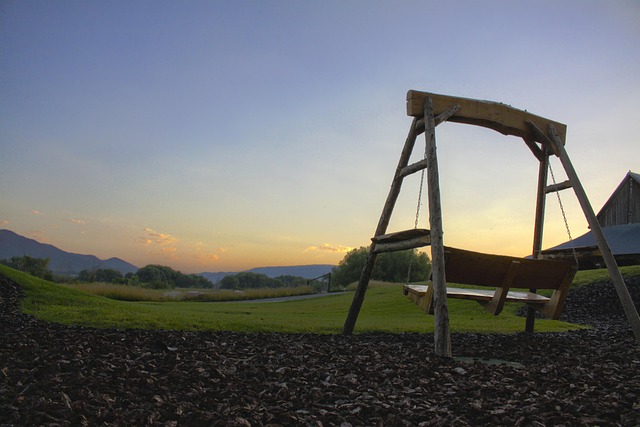 swing trader