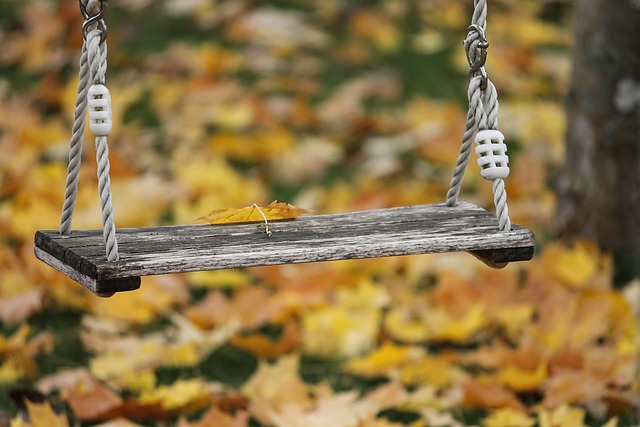 swing trader