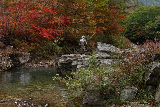 Trout