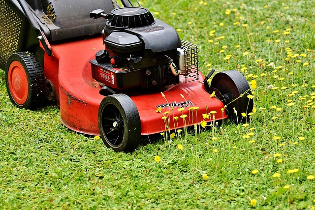 yamaha motorcycles, lawn mower, motorcycle