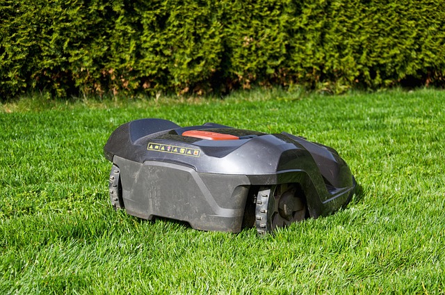 yamaha motorcycles, lawn mower, motorcycle