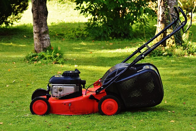 yamaha motorcycles, lawn mower, motorcycle