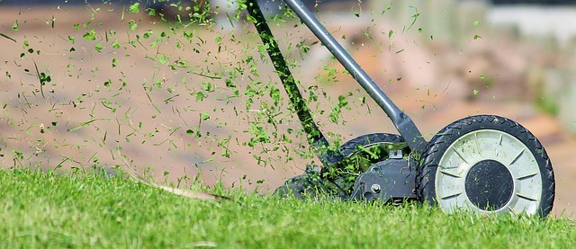 yamaha motorcycles, lawn mower, motorcycle