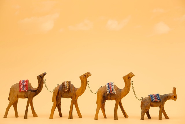 all-terrain caravans