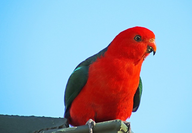 Australian locations