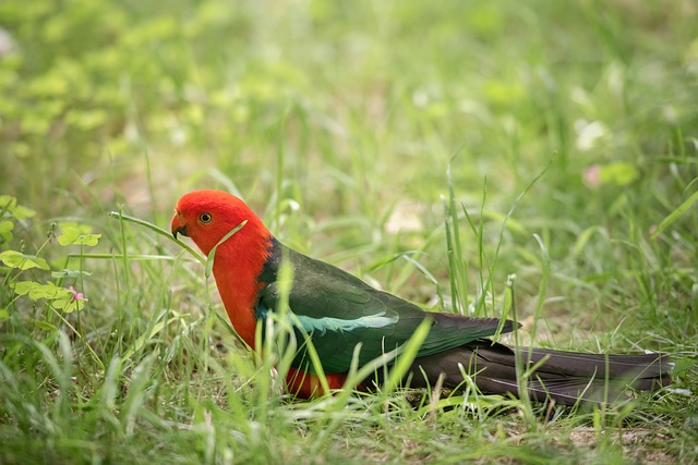 Australian locations