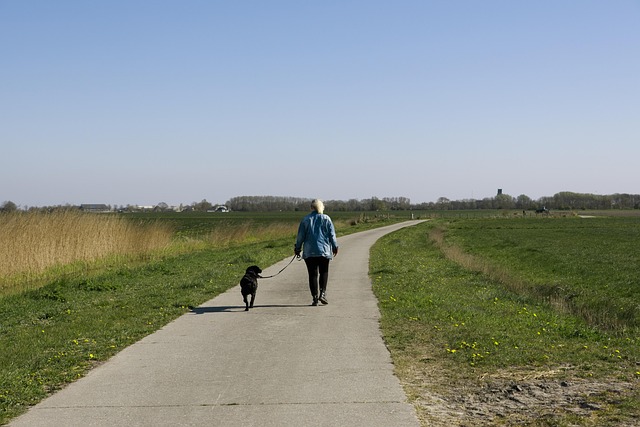 dog walking