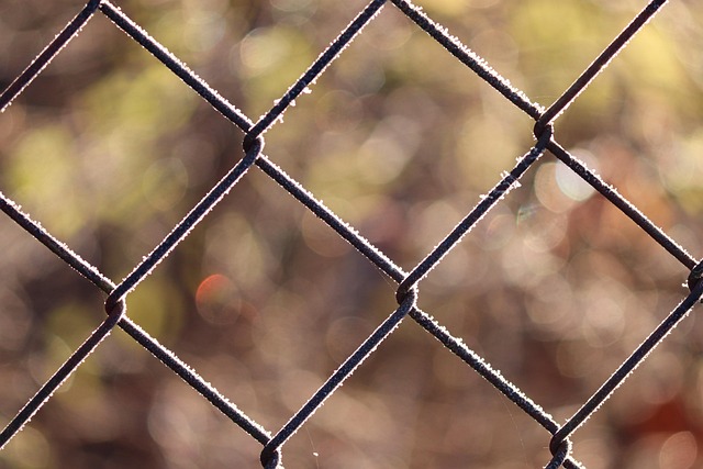 fence