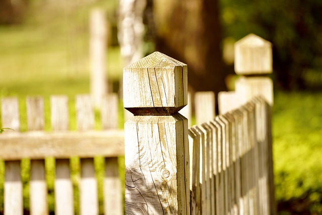 fence