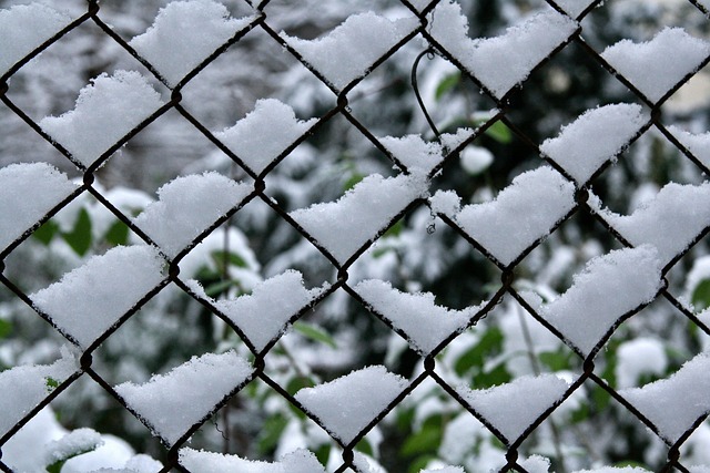 fence