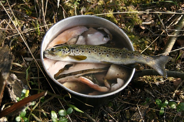river fishing for trout