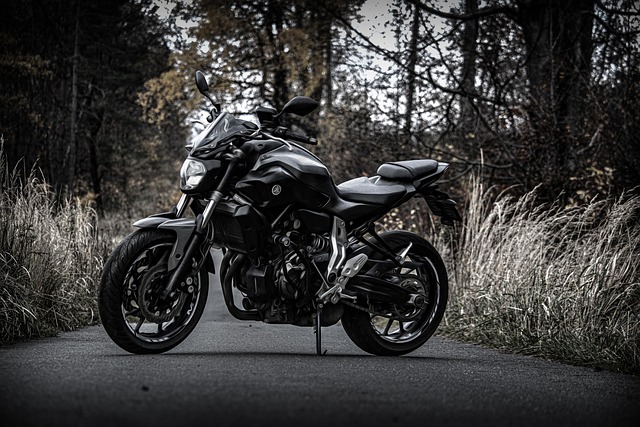 yamaha motorcycles, lawn mower, motorcycle