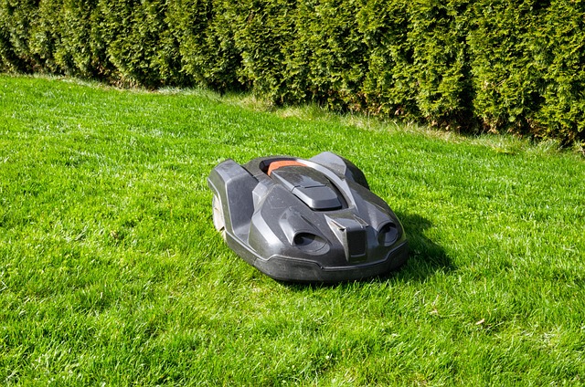 yamaha motorcycles, lawn mower, motorcycle