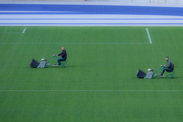 yamaha motorcycles, lawn mower, motorcycle